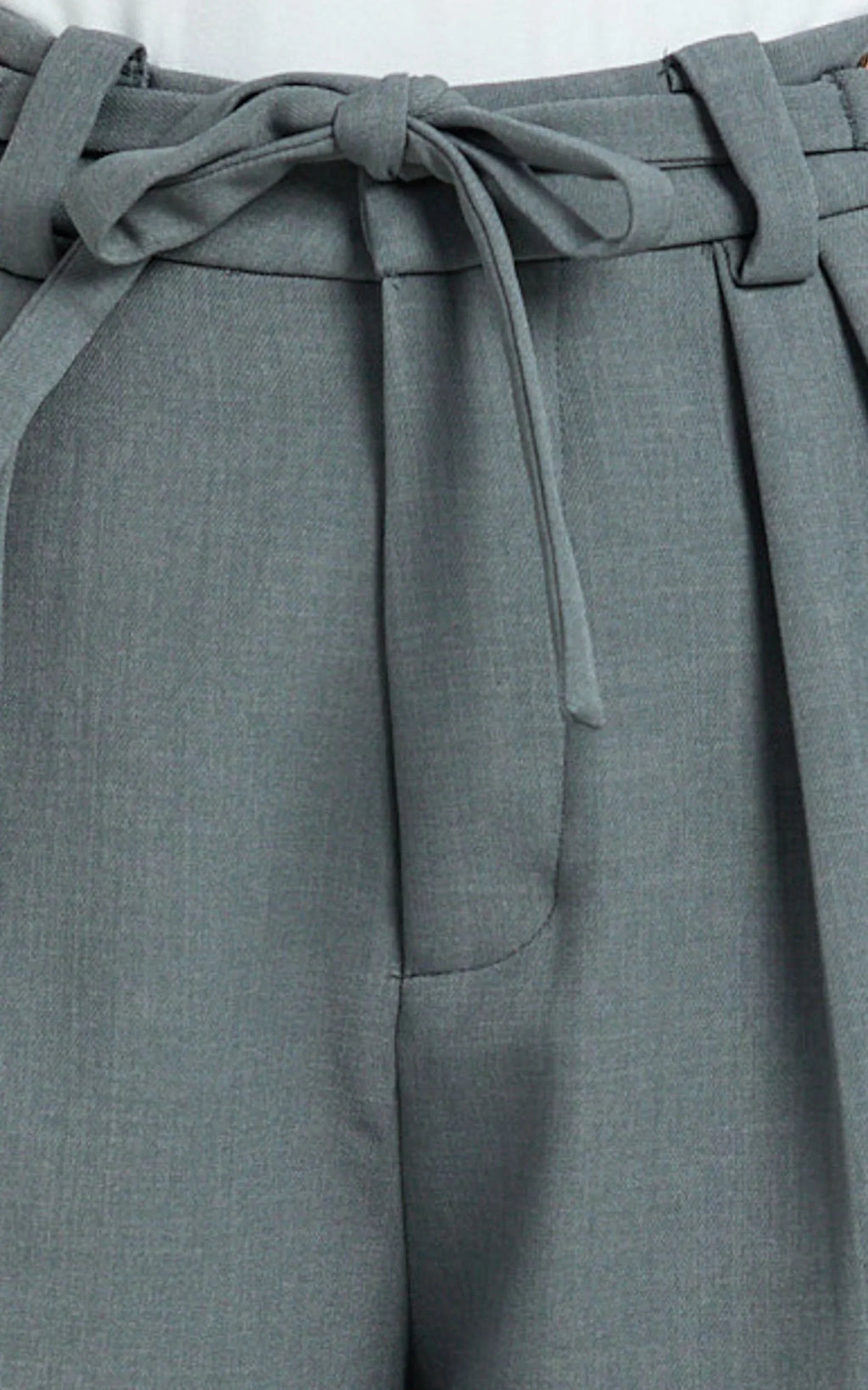 Frankie Pants - Low Rise Pleated Wide Leg Pant with Hardware Buckle in Grey