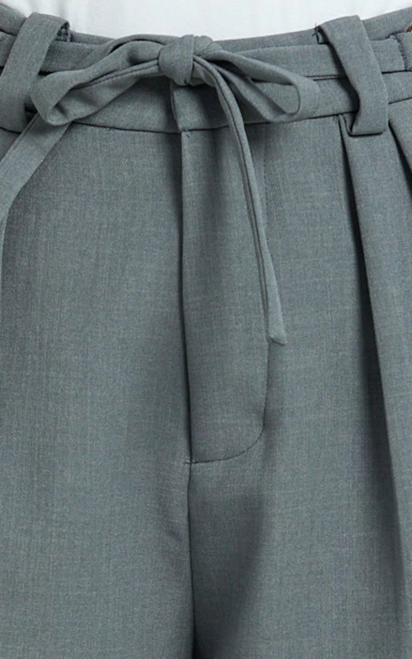 Frankie Pants - Low Rise Pleated Wide Leg Pant with Hardware Buckle in Grey