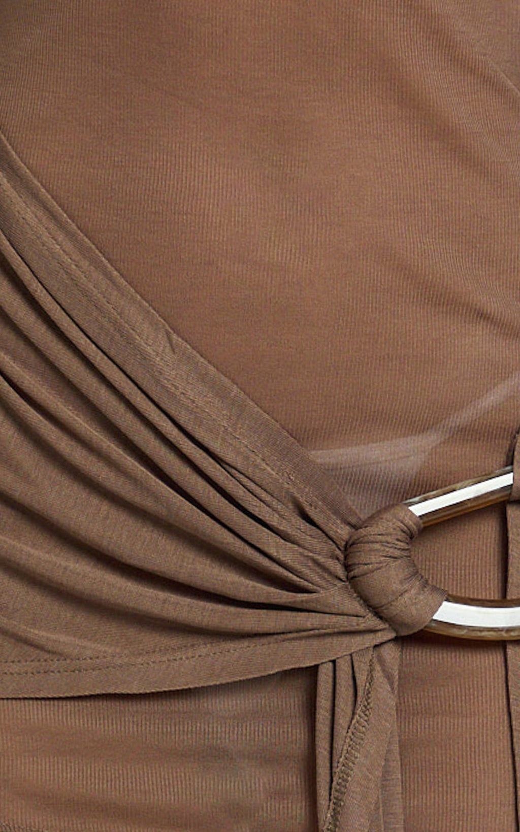 Walters Mini Dress - Polo Neck Long Sleeve Ruche Sash Band Jersey Dress in Brown